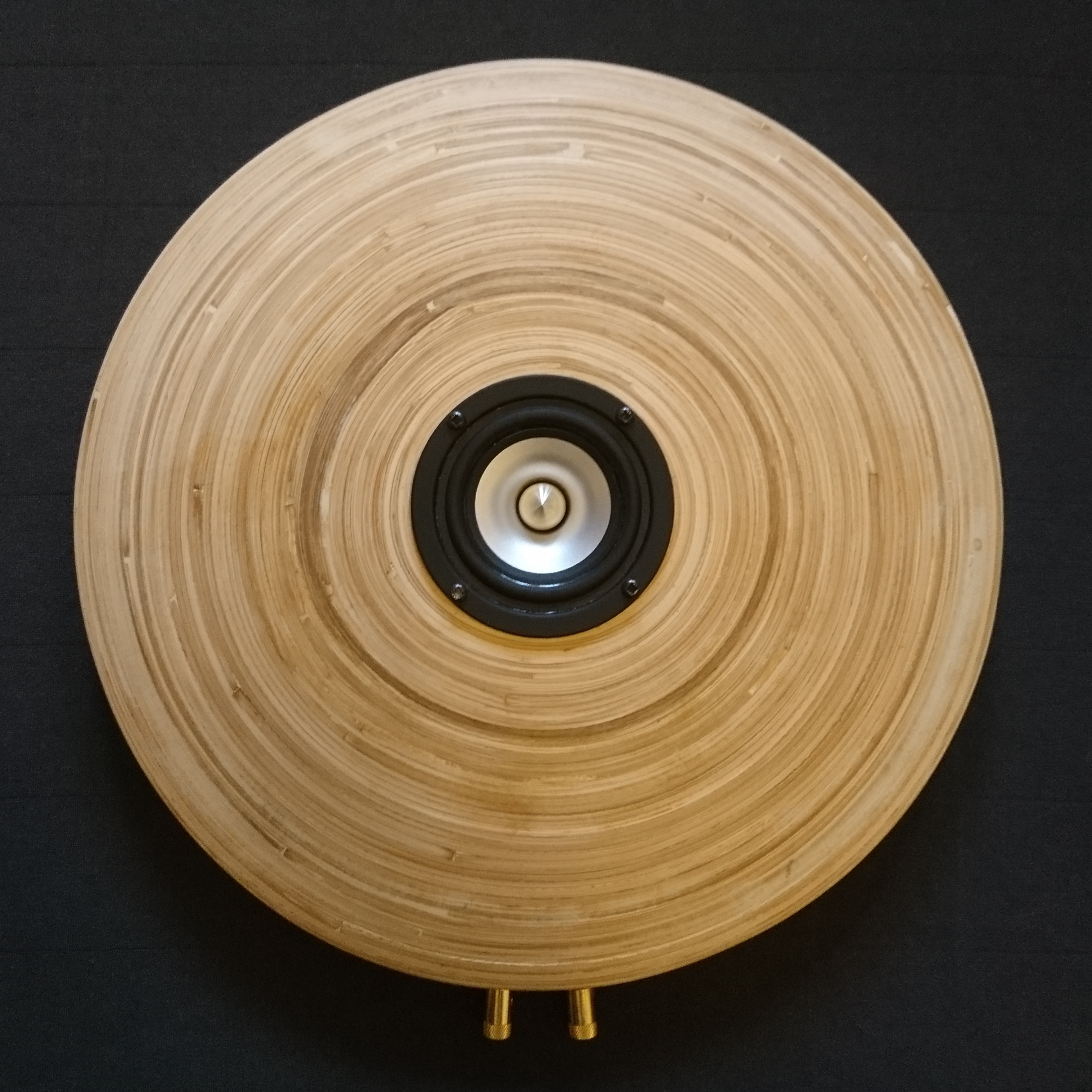 Bamboo II / Hobby HiFi CC116 Frontansicht Bamboo II
